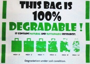 Membuat Kantong Plastik dari Limbah Sisik Ikan