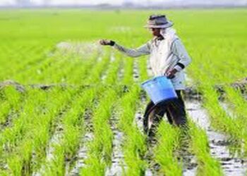 Bank Indonesia Dukung Wirausaha Pertanian