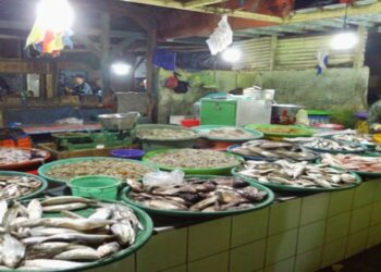 Malang Akan Miliki Pasar Ikan Terbesar