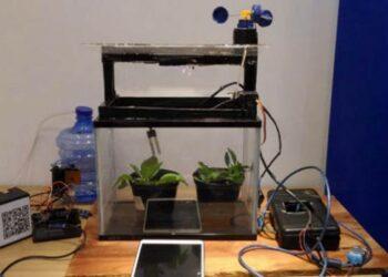 Kompetisi Robotik  Tingkat SMA