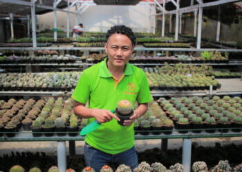 Steve Stanley : Menuai Sukses Berkat Hobi Tanaman