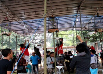 Tren Burung Naik di e-Commerce