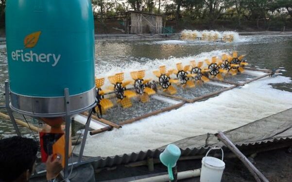 eFeeder eFishery
