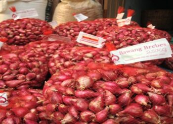 Aplikasi Online Untuk Bawang Merah