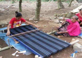 Program Studi Teknik Tenun Ikat di Undana