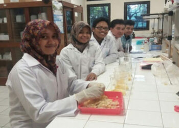 Shank Ayam Jadi Pembungkus Dodol