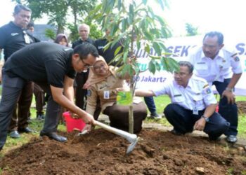 Ada Hutan Sekolah Di SMA Jakarta