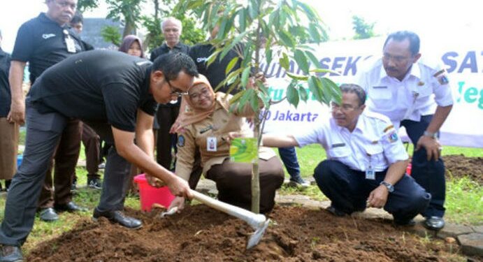 Ada Hutan Sekolah Di SMA Jakarta