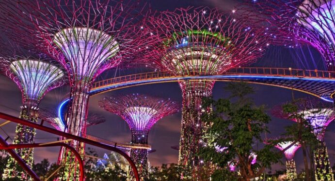 Pohon Elektrik Anti Polusi Dari Mahasiswa UB Malang