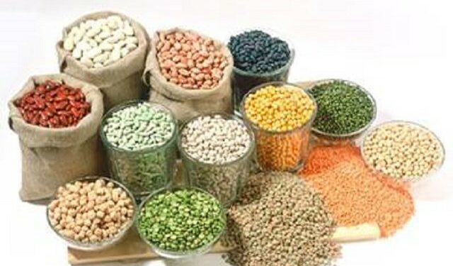 Indonesia Rayakan Tahun Kacang Sedunia