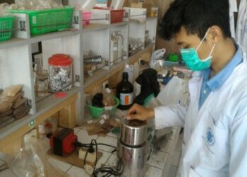 Limbah Cemara Jadi Bahan Penyamak Kulit Ramah Lingkungan