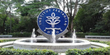 IPB University