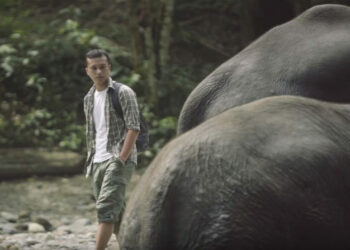 Uni Eropa Rilis Film Dokumenter Gajah Indonesia