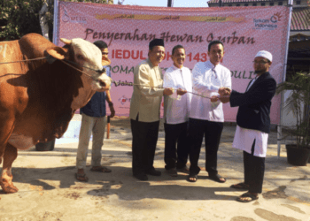 Peringati Idul Adha 1437 H, Telkom Serahkan 497 Hewan Kurban
