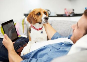 PETO, Aplikasi Pemeliharaan Hewan Terlengkap di Indonesia