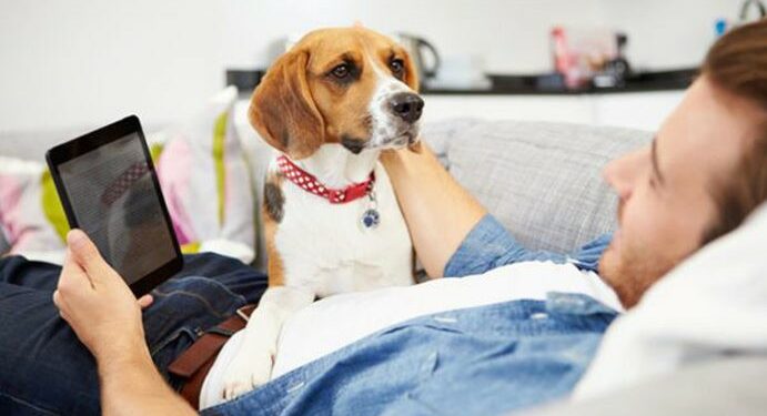 PETO, Aplikasi Pemeliharaan Hewan Terlengkap di Indonesia