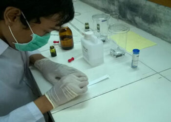 Camilan Buah Peningkat Imunitas Tubuh dari UGM