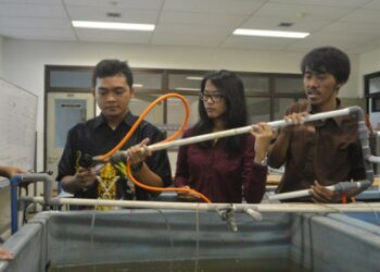 Tim Mino Microbubbles UGM Finalis Tantangan Inovasi Pangan Internasional