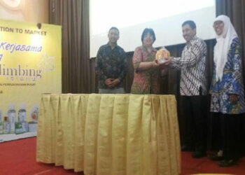 UI Riset Produk Kosmetik Belimbing