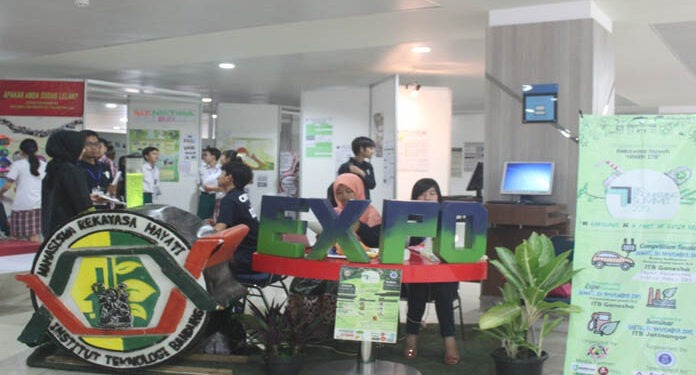 Inovasi Daun Jambu Biji Untuk Tabir Surya