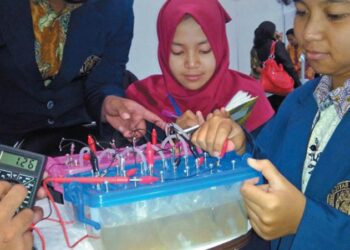 Microbial Fuel Cell, Pembangkit Listrik dari Kulit Pisang