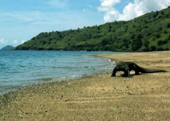 NTT Targetkan Jadi Provinsi Pariwisata