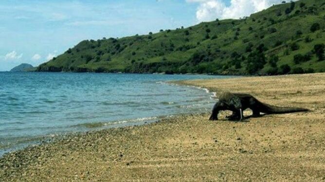 NTT Targetkan Jadi Provinsi Pariwisata