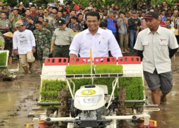 Kini Hadir  Aplikasi Pertanian Berbasis Smartphone