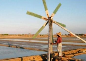 UI Kembangkan Kawasan Ekowisata di Muara Gembong