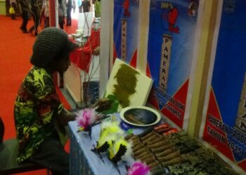 UMKM Biak Siap Pasarkan Produk Lewat Daring Tahun 2017