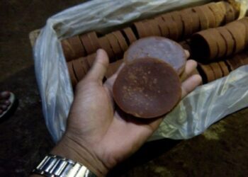 Pasarlamtim.com Pasarkan Produk UMKM Lampung Timur