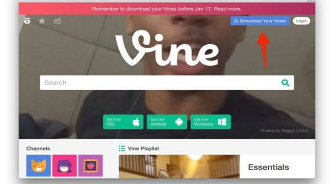 Twitter Tutup Layanan Vine