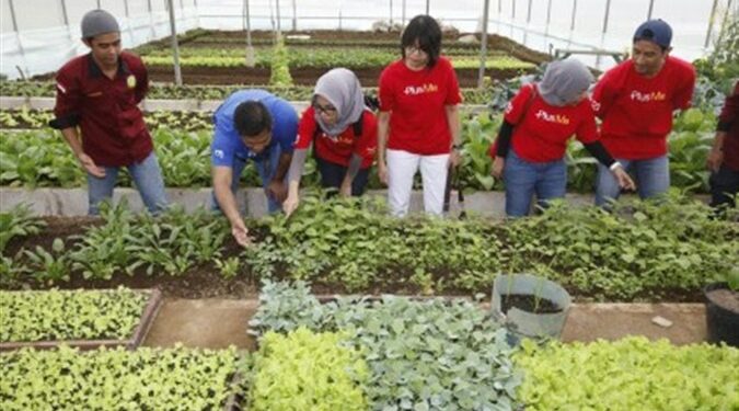 Dorong Generasi Muda Kuasai Pertanian Organik, Deutsche Bank dan The Learning Farm Jalin Kerjasama