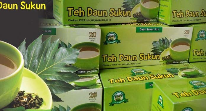 Daun Sukun Jadi Teh Obat Ginjal