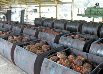 Universitas Jambi Ciptakan Bahan Bakar Dari Limbah Sawit