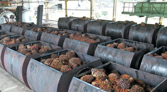 Universitas Jambi Ciptakan Bahan Bakar Dari Limbah Sawit