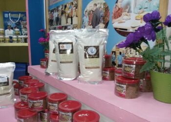 UKM Biak Masuk Pemasaran Online