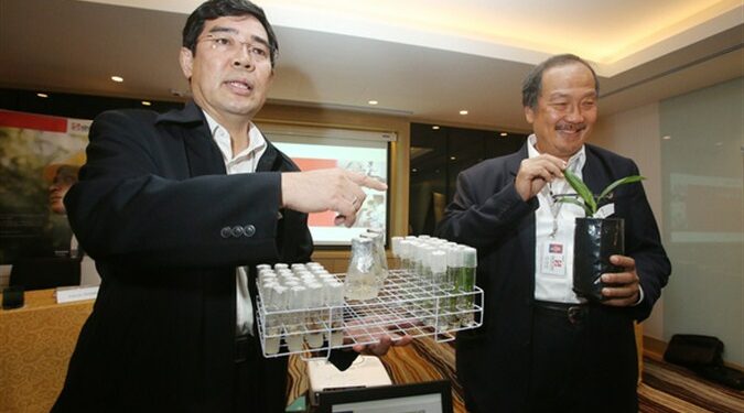 Material Tanam Baru Ini Bisa Tingkatkan Produksi Kelapa Sawit