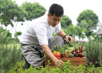 Planet 21, Upaya Hotel Kurangi Limbah