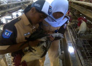 Charoen Bantu Riset Mahasiswa di 4 PTN