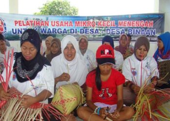 Sektor UMKM Jadi Perhatian Pemerintah