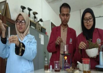 Putri Malu Bisa Jadi Obat Insomnia