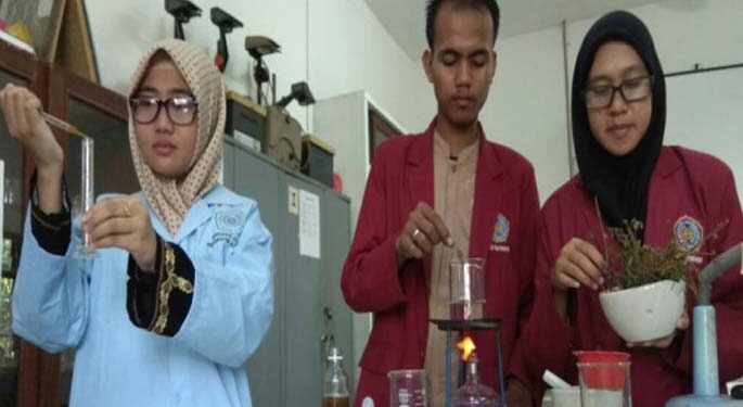 Putri Malu Bisa Jadi Obat Insomnia