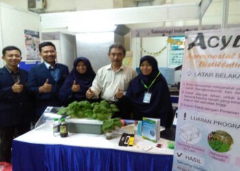 Air Laut Bisa Jadi Media Tanam Hidroponik Sayuran