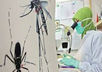 Ekosiculin Candle, Lilin Aroma Kemangi Yang Dapat Menolak Nyamuk