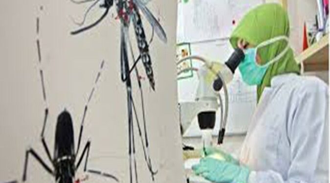 Ekosiculin Candle, Lilin Aroma Kemangi Yang Dapat Menolak Nyamuk