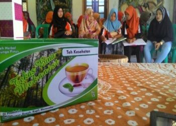 Teh Herbal Bunga Pinus Inovasi UM Magelang