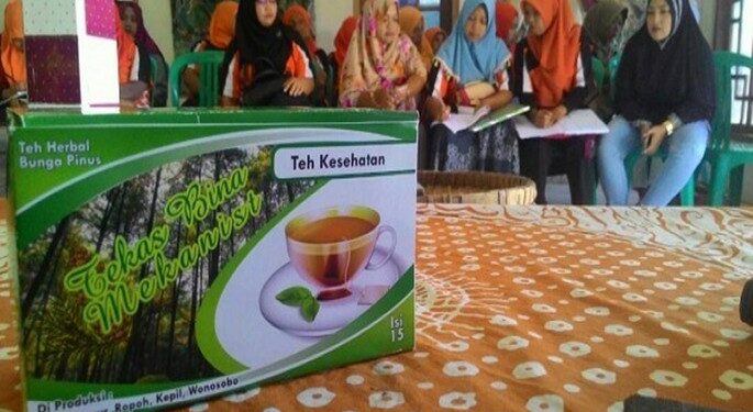 Teh Herbal Bunga Pinus Inovasi UM Magelang