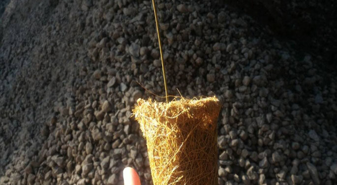 Polytube Bagormaling, Wadah Semai Ramah Lingkungan