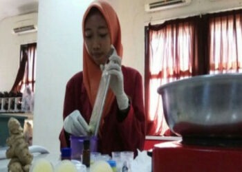 Balsem Jahe Penghilang Nyeri Rematik